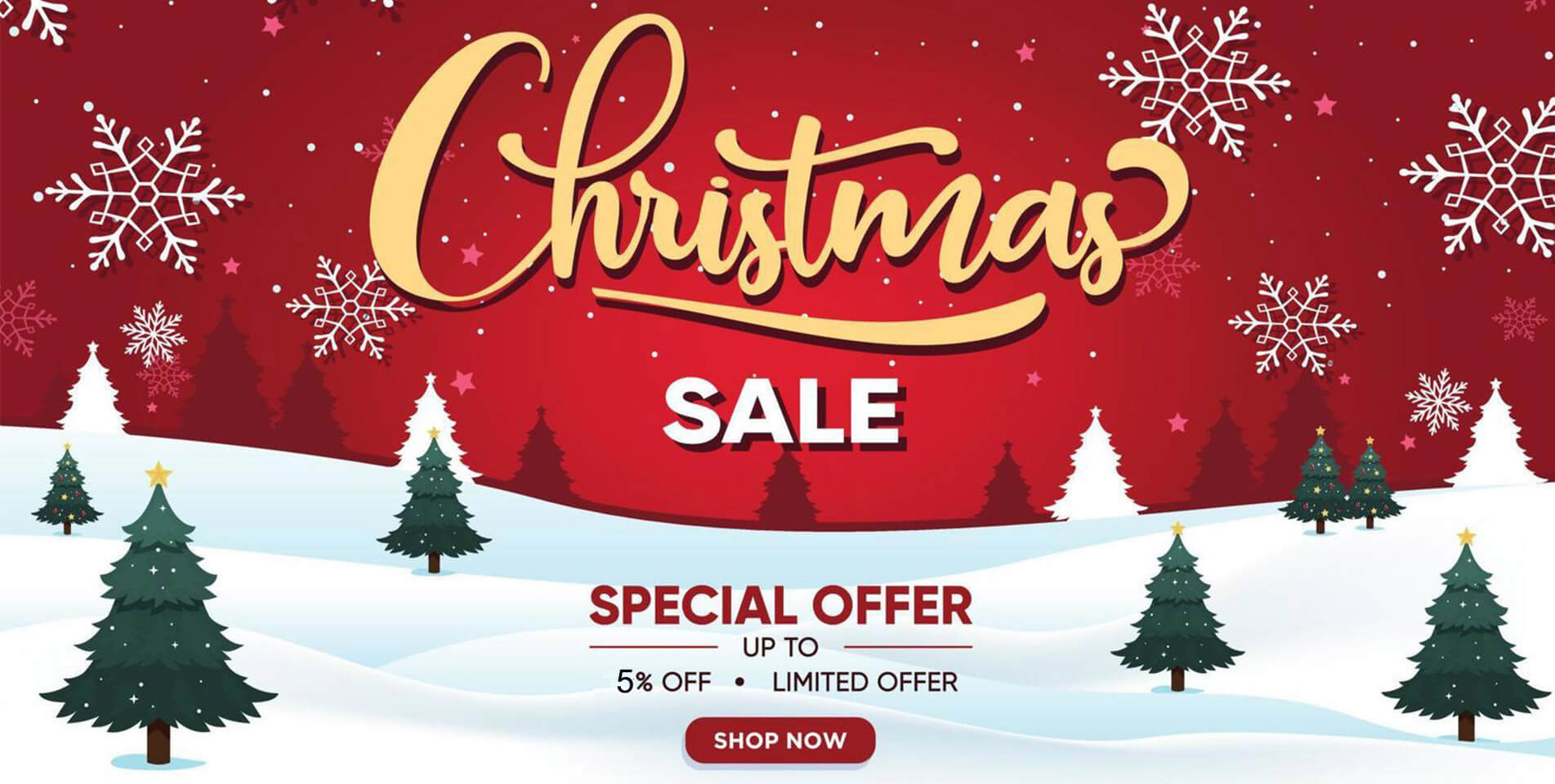 Christmas Sale 5% Off 